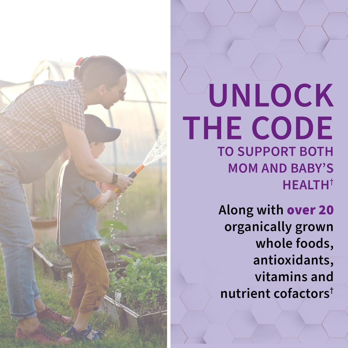 Garden of Life Prenatal Multivitamin for Women with Iron, Folate & Vitamin C and D3 for Neural Development & Probiotics for Immune Support Garden of LifeBuy Supplements Australia