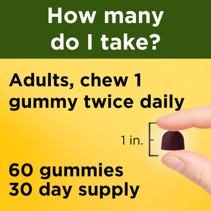 Nature Made Ashwagandha Gummies, Vegan, KSM 66 Ashwagandha Supplement for Stress Support, 60 Count, 30-Day Supply Nature MadeBuy Supplements Australia