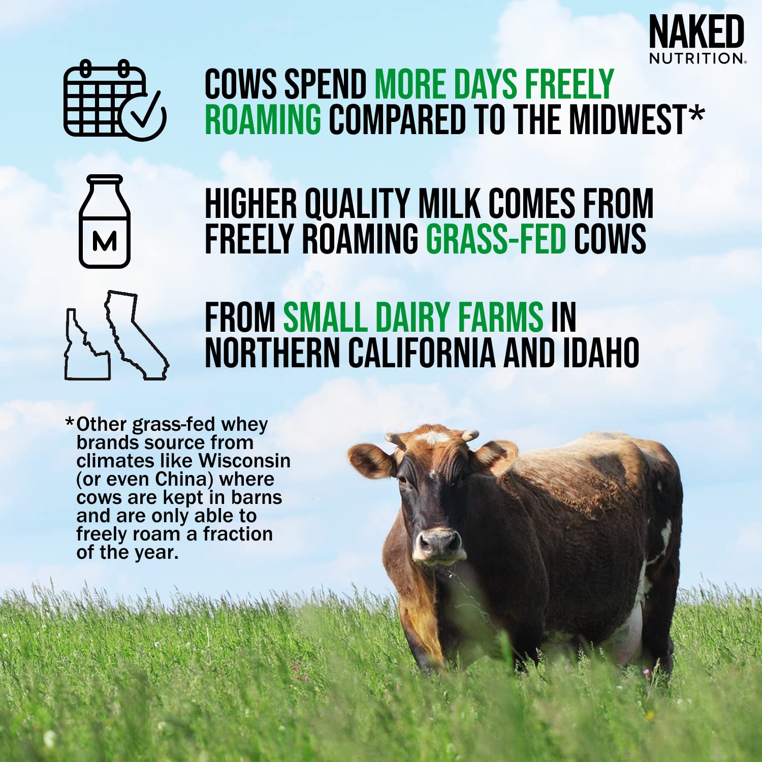 NAKED Nutrition Whey Vanilla Protein - All Natural Grass Fed Whey Protein Powder NAKEDBuy Supplements Australia