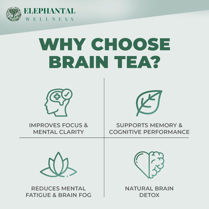 Elephantal Wellness Premium Brain Herbal Tea | Nootropic Focus & Mental Clarity with Ginkgo, Bacopa, Gotu Kola & Rosemary | Non-GMO, Caffeine-Free Coffee Alternative, Handmade Loose Leaf Blend, 2oz Loose Leaf, 20 Servings Elephantal WellnessBuy Supplements Australia