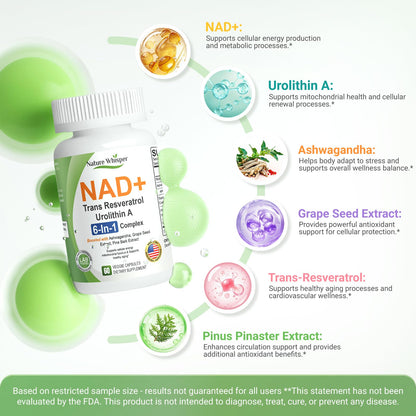 Nature Whisper NAD+ Supplement 620mg | 6-in-1 Complex with Resveratrol, Ashwagandha & Urolithin A - Daily Energy Stack for Focus, Brain Fog & Healthy Aging - 60 Capsules Nature WhisperBuy Supplements Australia