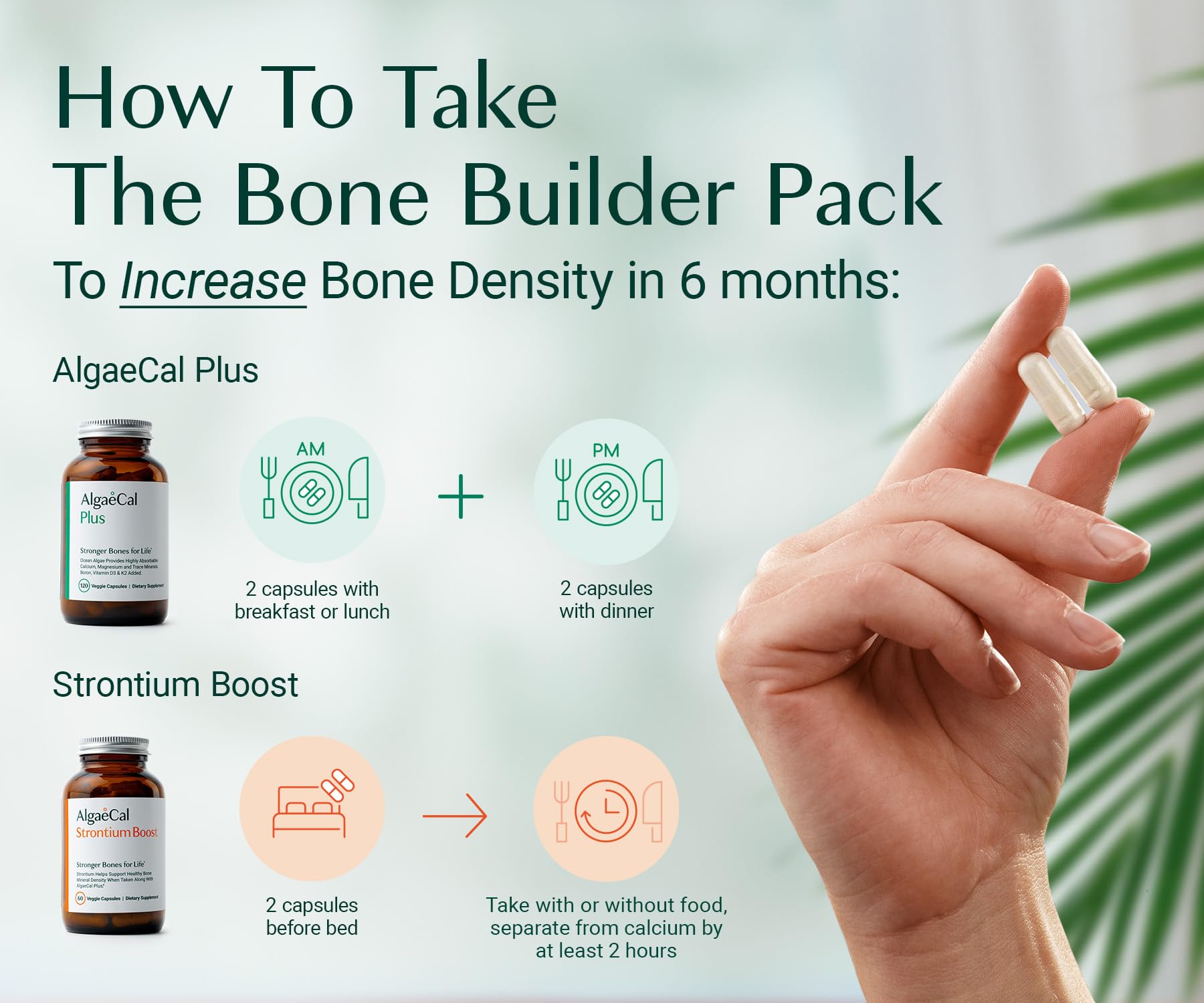 AlgaeCal - Bone Builder Pack for Bone Density Increase, Clinically Supported Plant Based Calcium Supplement & Strontium, Vitamins K2 (100mg), D3 (1600 IU), Magnesium & 16 Essential nutrients ALGAECALBuy Supplements Australia