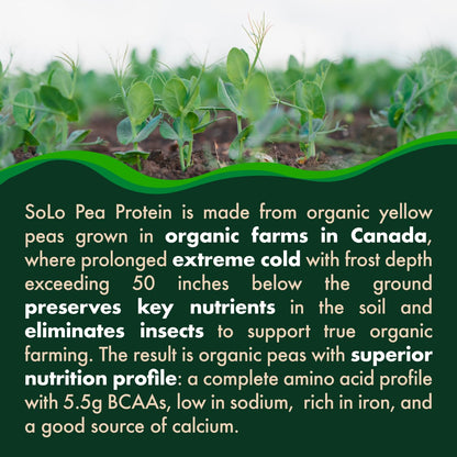SOLO Organic Pea Protein Isolate, Low in Sodium, Canada Grown Peas, 100% Vegan, Non-GMO, Unflavored Plant Based Protein Powder with BCAA, Keto & Paleo Friendly,