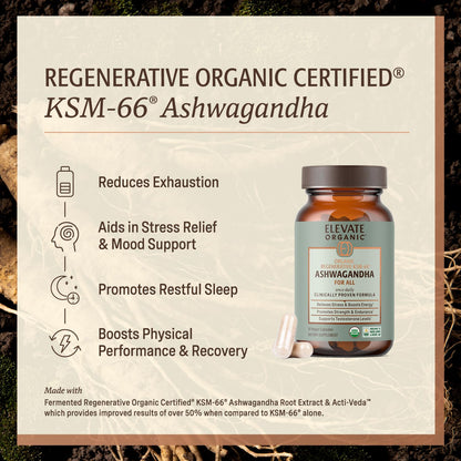 ELEVATE ORGANIC Regenerative Fermented KSM-66 Ashwagandha Vegan Capsules with Acti Veda™ (600mg, 30 Servings), Up to 150% More Effective Than KSM-66 Alone ELEVATE ORGANICBuy Supplements Australia