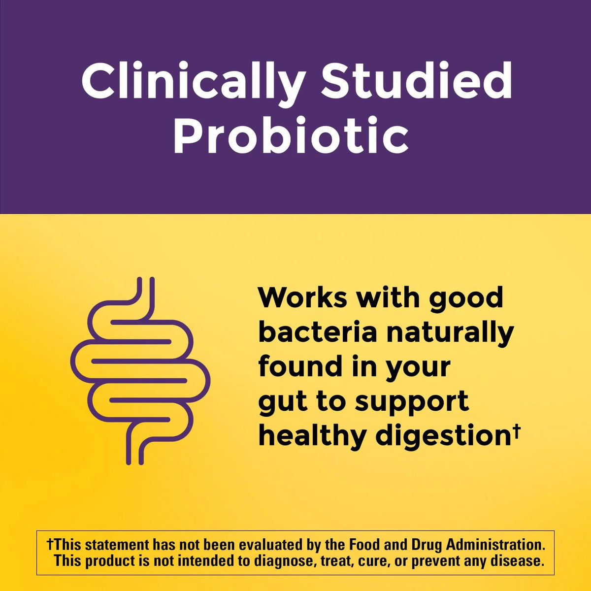 Nature Made Probiotics Extra Strength Dosage, Probiotics for Women and Men 8 Billion CFU per 2 Gummies, 42 Probiotic Gummies, 21 Day Supply Nature Made buy supplements Au
