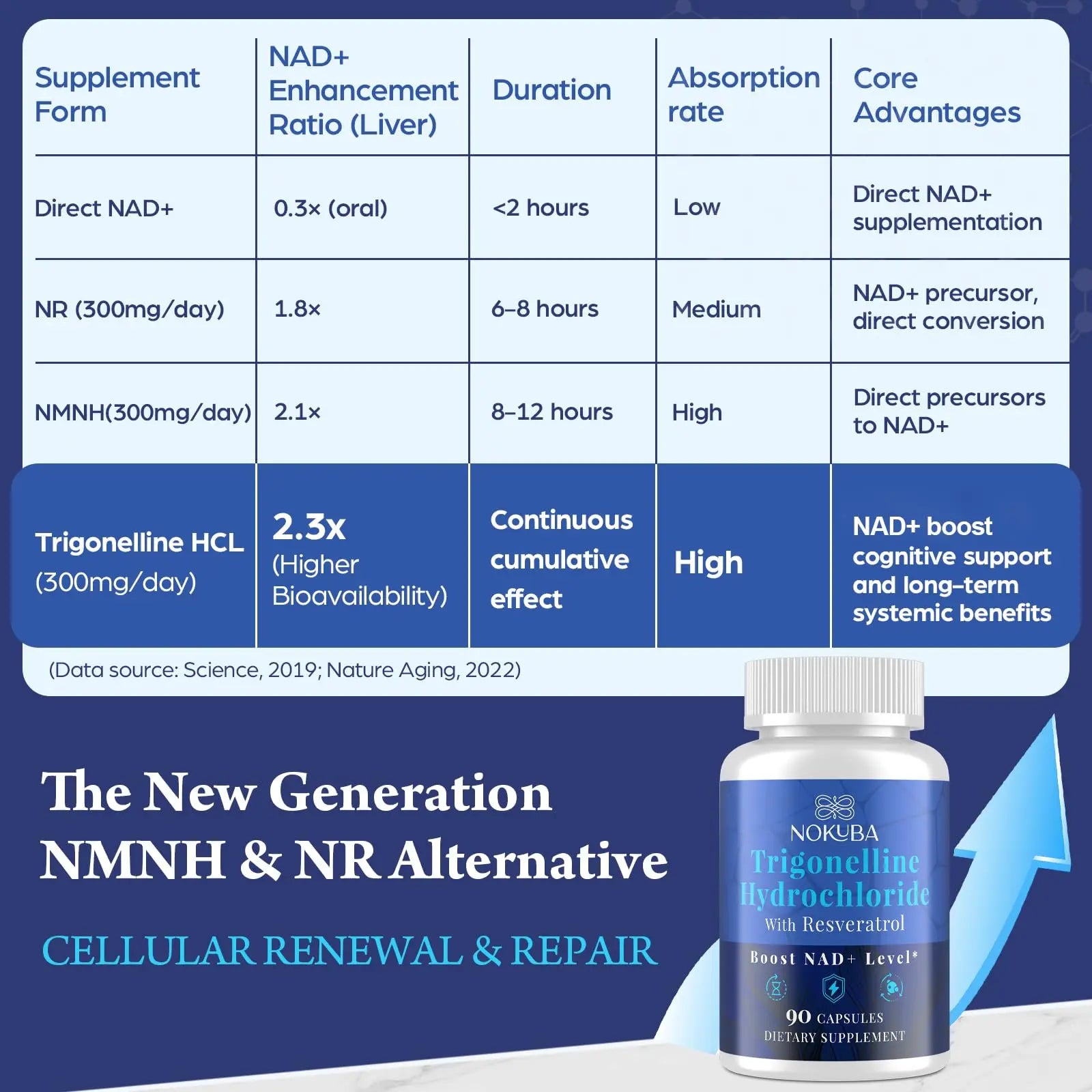 Nokuba NAD Supplement - NMNH Alternative with Trigonelline HCL 500mg & Resveratrol - NAD+ Precursors Plant Extraction - Support Cellular Energy & Healthy Aging & Brain for Women & Men - 90 Capsules NokubaBuy Supplements Australia
