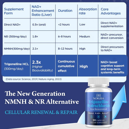 Nokuba NAD Supplement - NMNH Alternative with Trigonelline HCL 500mg & Resveratrol - NAD+ Precursors Plant Extraction - Support Cellular Energy & Healthy Aging & Brain for Women & Men - 90 Capsules NokubaBuy Supplements Australia
