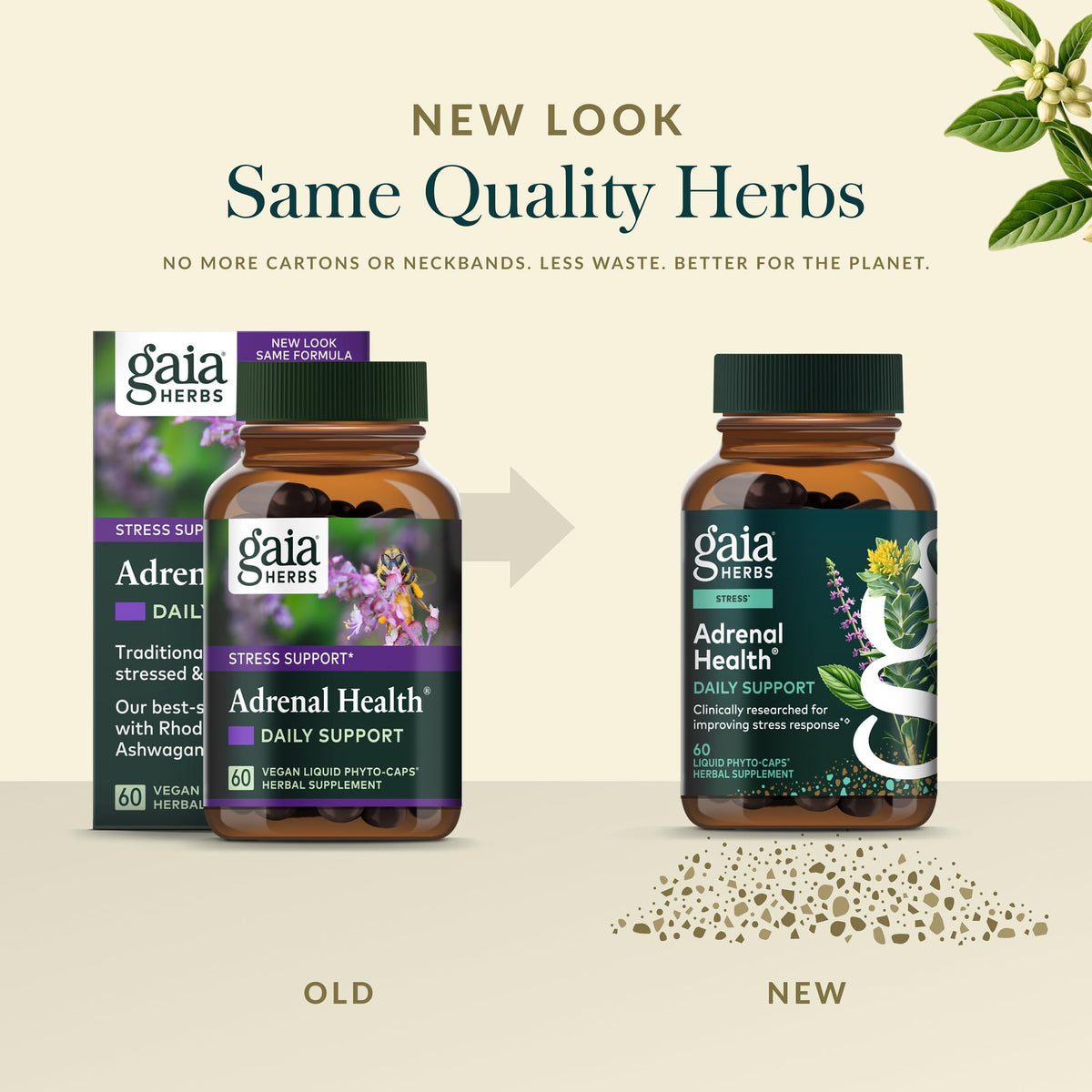 Gaia Herbs Adrenal Health Daily Support - Herbal Supplement with Ashwagandha, Holy Basil & Schisandra - Help Maintain Healthy Energy & Stress Levels* - 60 Vegan Liquid Phyto-Caps (30 Servings) Gaia HerbsBuy Supplements Australia
