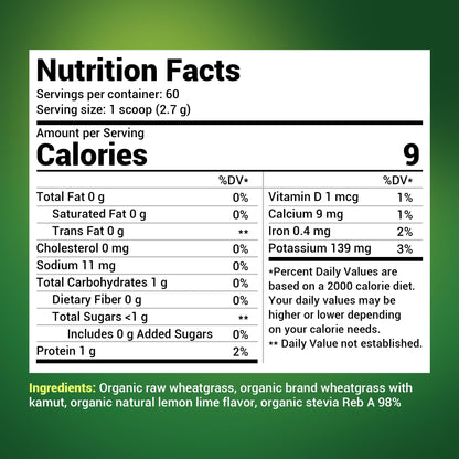 Dr. Berg's Raw Wheatgrass Juice Powder (60 Servings) - USDA Certified Organic Dr. Berg NutritionalsBuy Supplements Australia