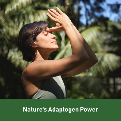GlowEver KSM-66 Ashwagandha Supplements with L-Theanine Moringa Organic Mushrooms Complex Ginseng Ginkgo Biloba - Mood & Energy Support, Cortisol Manager, Immune Support, 60 Vegan Capsules GlowEverBuy Supplements Australia