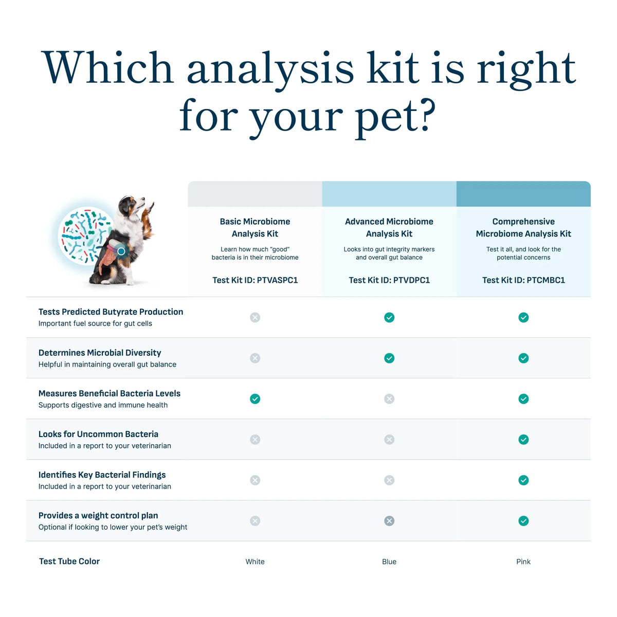 Petivity Microbiome Analysis Kit — Basic for Cats and Dogs, Powered by Purina - 4.8 oz. Box petivityBuy Supplements Australia