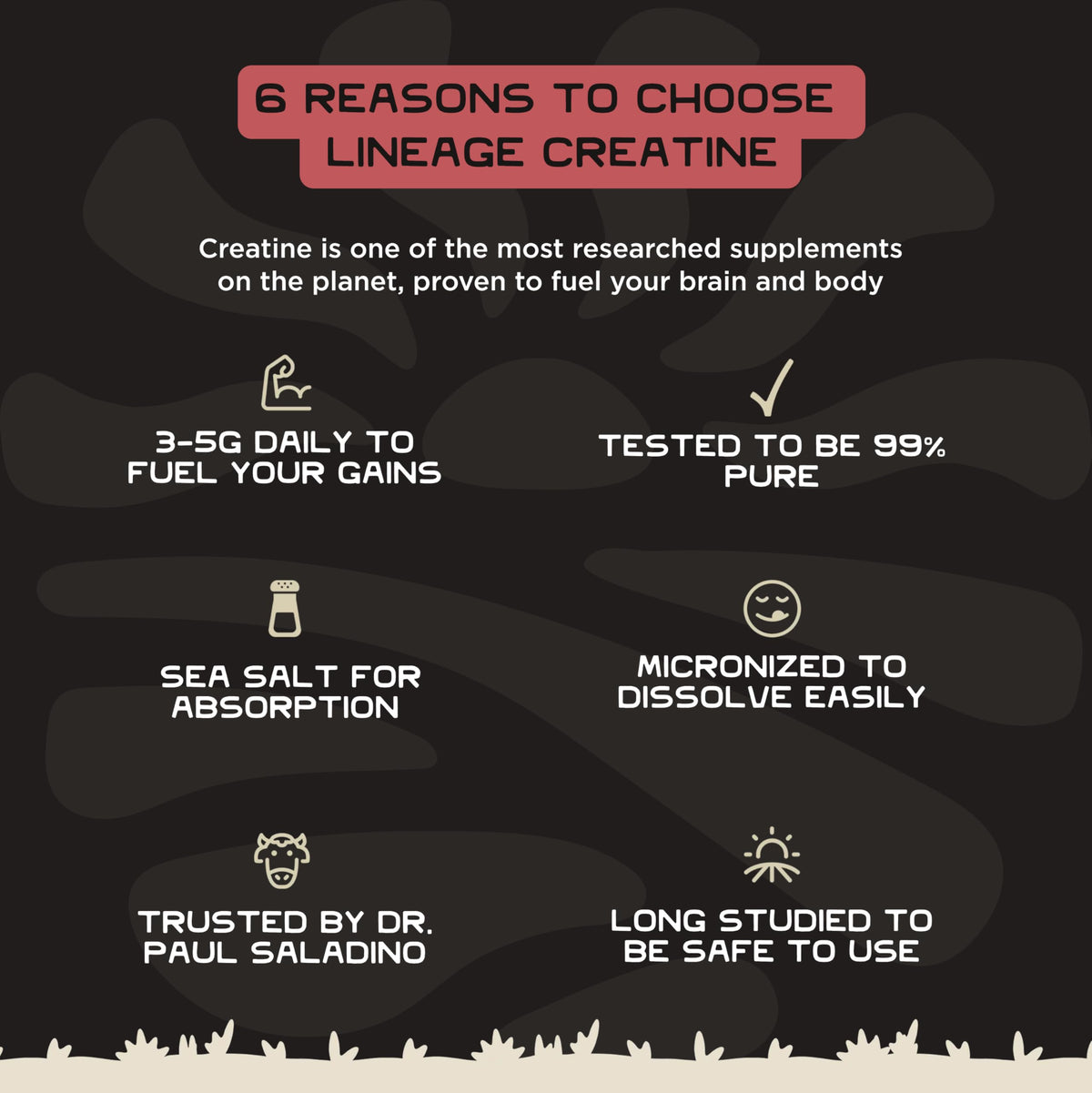 Lineage Provisions Micronized Creatine Monohydrate with Sea Salt - Micronized Creatine Powder for Training & Performance