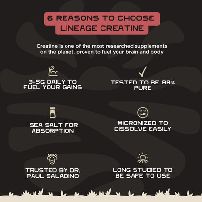 Lineage Provisions Micronized Creatine Monohydrate with Sea Salt - Micronized Creatine Powder for Training & Performance