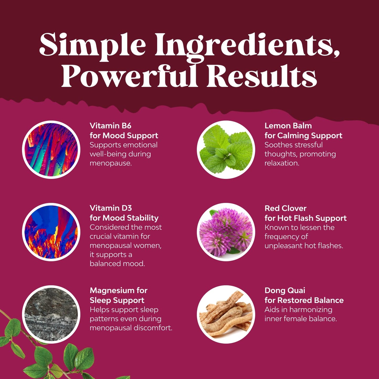 Complete Herbal Menopause Supplement for Women - Soy Free Female Hormone Balance Capsules for Night Sweats Hot Flashes & Mood Swings with Dong Quai, Chaste Berry & Black Cohosh Root - 75 Count Natures CraftBuy Supplements Australia