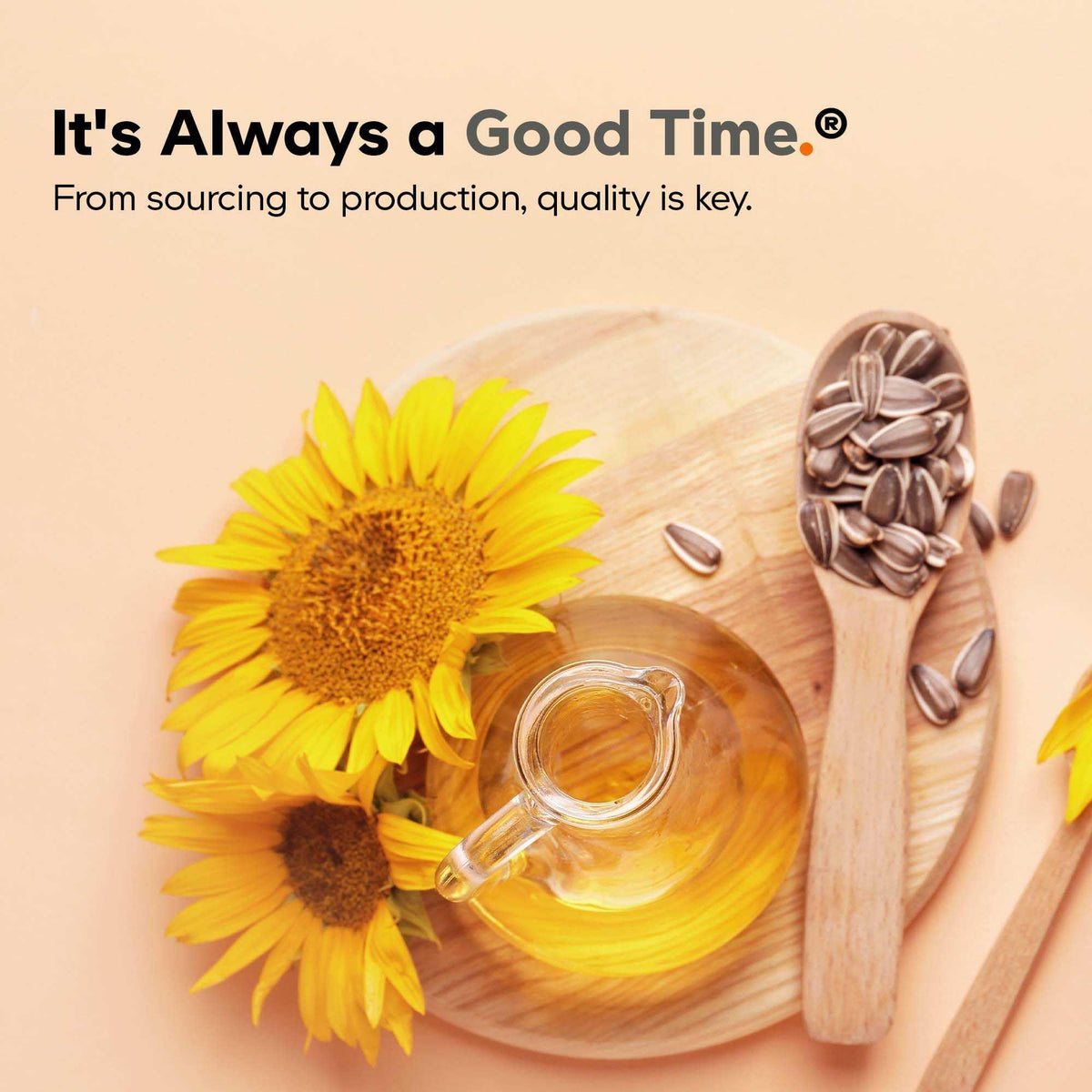 Codeage SBO Probiotics, 100 Billion CFUs Per Serving, Multi Strain Soil Based Organisms Blend and Organic Fermented Botanical Blend, Shelf-Stable, 90 Capsules CodeageBuy Supplements Australia