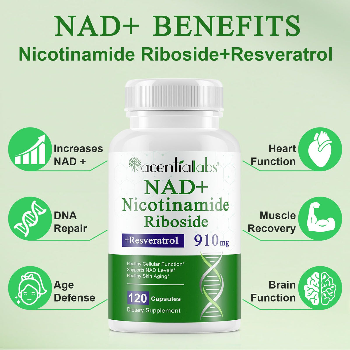 XINSZLIN NAD Supplement, NAD Nicotinamide Riboside Resveratrol 910mg, High Purity NAD Supplement for Healthy Cellular Function, Supports NAD Levels Healthy Skin Aging Dietary Supplement 120 Capsules XINSZLINBuy Supplements Australia