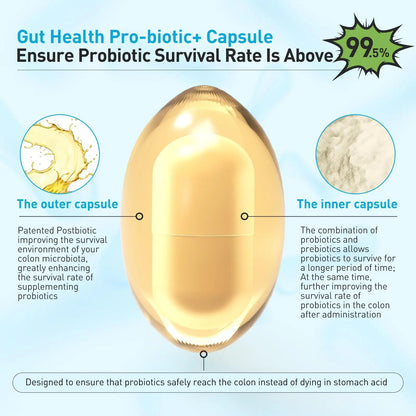 3-in-1 Probiotics for Gut and Digestive Health,Immune Support,Supplements Supporting Occasional Constipation,Diarrhea,Gas,Bloating,Delayed-Released Designed to Thrive, 30 Vegan Capsules PROLIFEBIOTICSBuy Supplements Australia