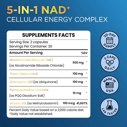 Anyglory NAD+ Supplement with 500mg NR, Resveratrol, CoQ10, PQQ- 5-in-1 NAD Formula |NMN Supplement Alternative|NAD Resveratrol Support Cellular Energy & Healthy Aging-Made in USA-60 Capsules AnygloryBuy Supplements Australia