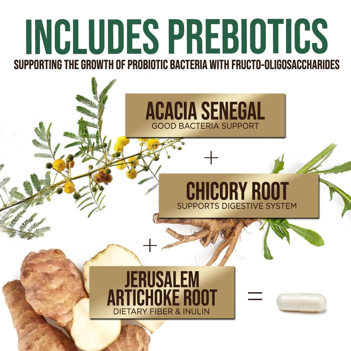 Probiotics 50 Billion CFU per Serving - 10 Strains + Prebiotics - Digestive Health, Gut & Immune Support - Occasional Constipation, Gas & Bloating Support for Women & Men, Bottled USA - 60 Capsules Health Nutrition NaturalsBuy Supplements Australia