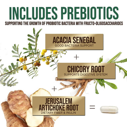 Probiotics 50 Billion CFU per Serving - 10 Strains + Prebiotics - Digestive Health, Gut & Immune Support - Occasional Constipation, Gas & Bloating Support for Women & Men, Bottled USA - 60 Capsules Health Nutrition NaturalsBuy Supplements Australia