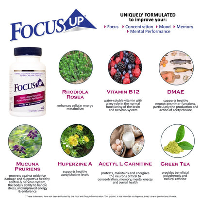 FocusUP Brain & Energy Support Supplement – Natural Nootropic Capsules with Acetyl L-Carnitine, Rhodiola, DMAE & Huperzine-A | Supports Focus, Memory, Mood & Mental Clarity | 45 Sugar-Free Capsules XoomaBuy Supplements Australia