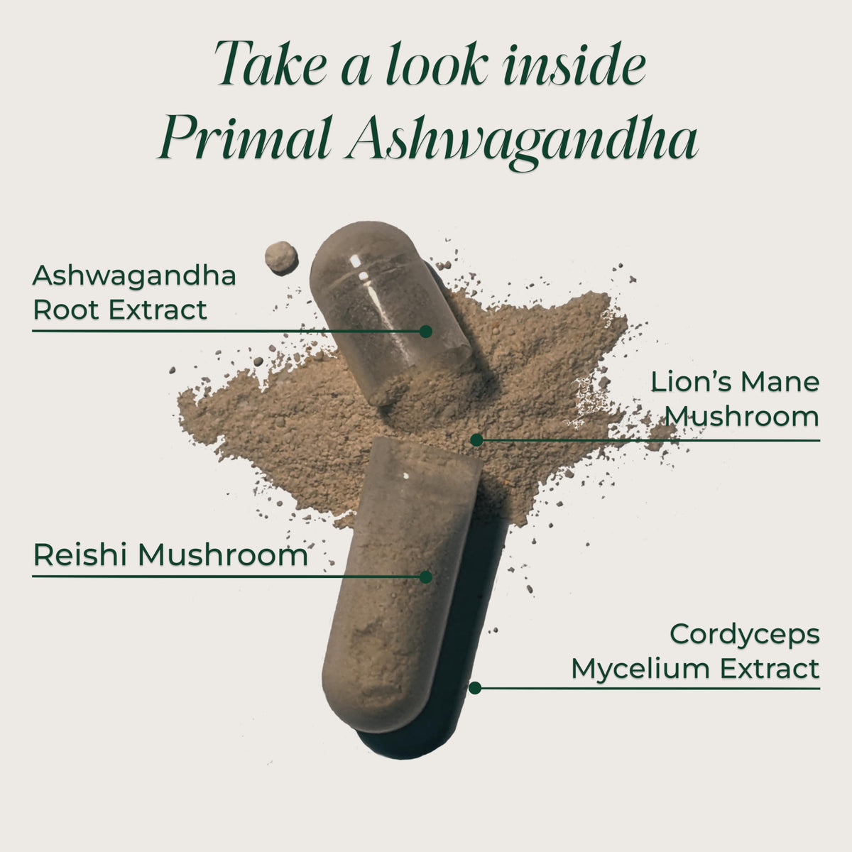 Primal Harvest Ashwagandha Supplement with 5 Mushroom Extracts: Lion’s Mane, Reishi, Cordyceps, Turkey Tail & Maitake for Immune Support & Cognitive Health Primal HarvestBuy Supplements Australia
