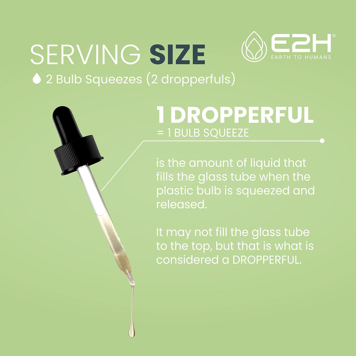E2H Ashwagandha Liquid Drops - All-Natural Ashwagandha Supplement for Stress Relief and Mood Enhancer- Organic Ashwagandha Root Extract Effective Cortisol Manager | Non-GMO, Vegan | 2 Fl Oz E2H EARTH TO HUMANSBuy Supplements Australia