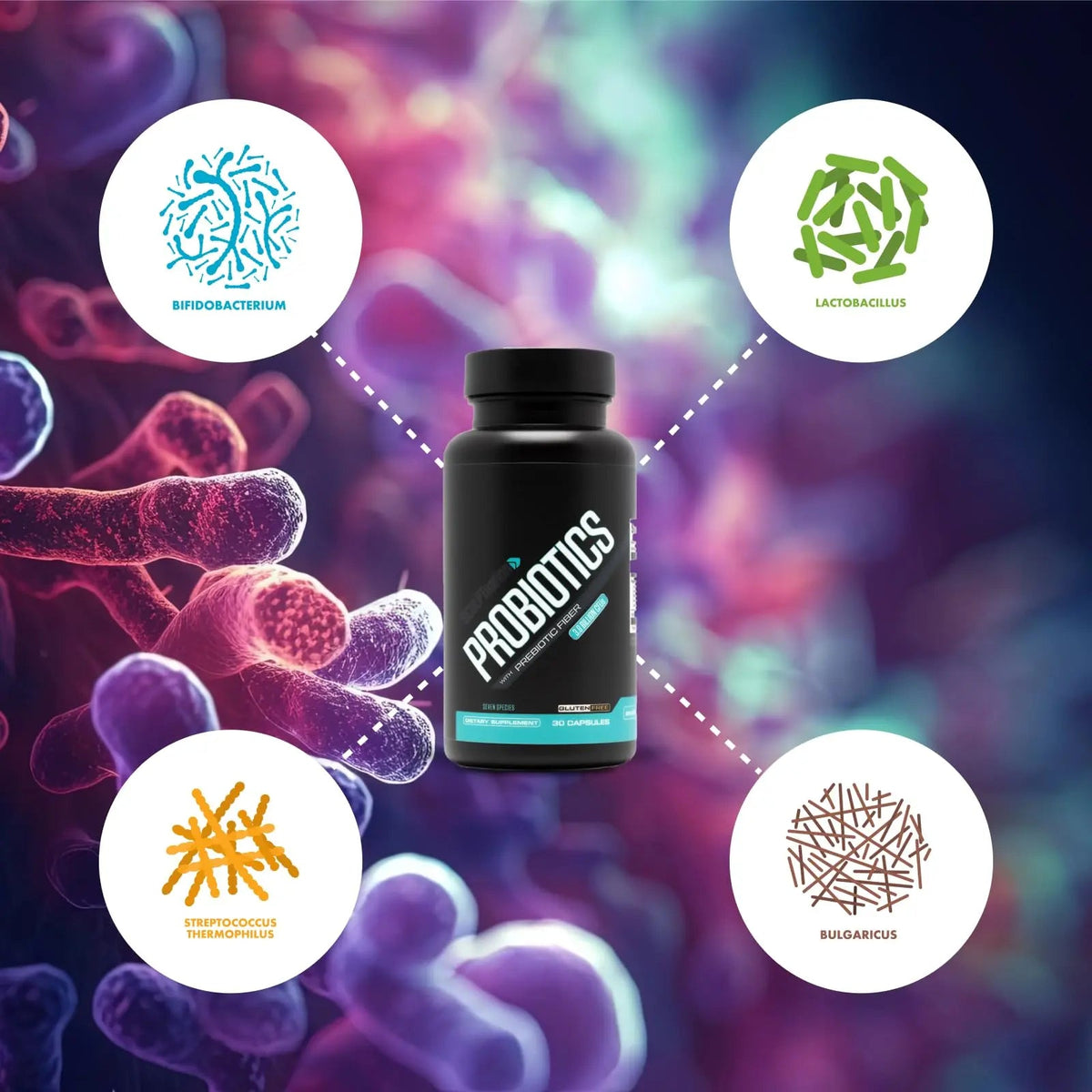 Sculpt Nation by V Shred Premium Probiotics - Digestive & Gut Health Support - Helps with Occasional Constipation, Gas and Bloating - 30-Day Supply Sculpt Nation buy supplements Au
