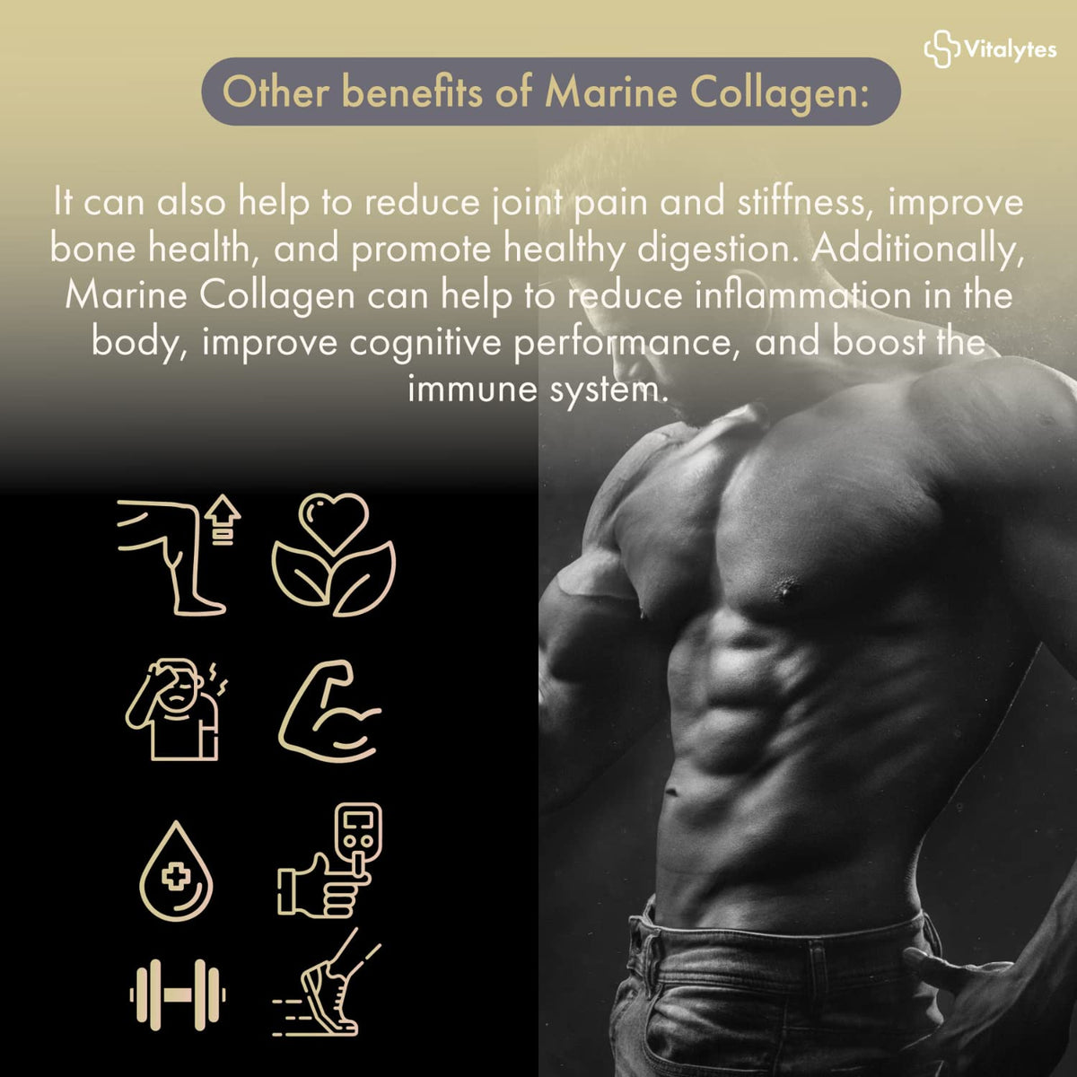 Vitalytes Marine Collagen Supplement 2400mg | 120 Marine Collagen Capsules Made in The UK VitalytesBuy Supplements Australia