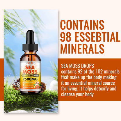 Sea Moss Liquid Drops: Organic Irish Sea Moss 2500mg with Turmeric, Bladderwrack dilibBuy Supplements Australia