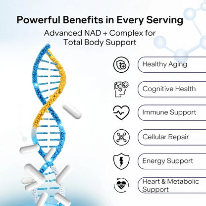 Liposomal NAD+ Supplement with Resveratrol - Nicotinamide Riboside 1000 Mg - NAD Supplements for Women & Men - NMN Supplement Alternative - Advanced NAD Resveratrol for Cellular Energy - 120 Capsules PharmlitaliaBuy Supplements Australia