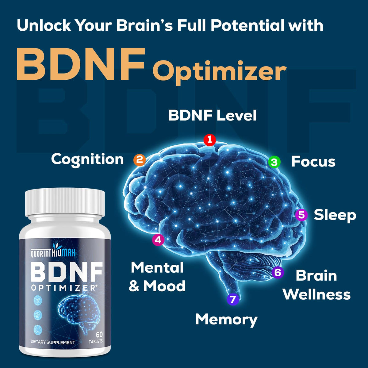Nootropic Brain Supplement for Memory and Focus – BDNF Optimizer – Cognitive, Mental Clarity & Mood – High Absorption – Organic Lion's Mane, L-Theanine, Ginkgo Biloba & Alpha GPC – 60 Tablets QuorinthiumaxBuy Supplements Australia