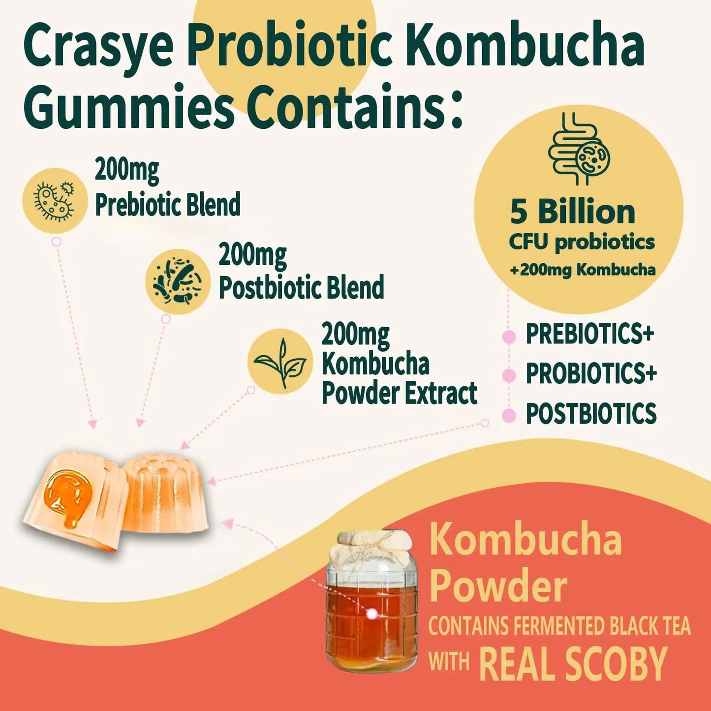 Crasye Probiotic Kombucha Gummies Sugar Free Prebiotic Postbiotic Probiotics Gummy for Women and Men Bloating Gut Health Immune and Digestive Support - 60 Gummies - 30 Servings CrasyeBuy Supplements Australia
