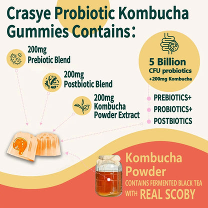 Crasye Probiotic Kombucha Gummies Sugar Free Prebiotic Postbiotic Probiotics Gummy for Women and Men Bloating Gut Health Immune and Digestive Support - 60 Gummies - 30 Servings CrasyeBuy Supplements Australia