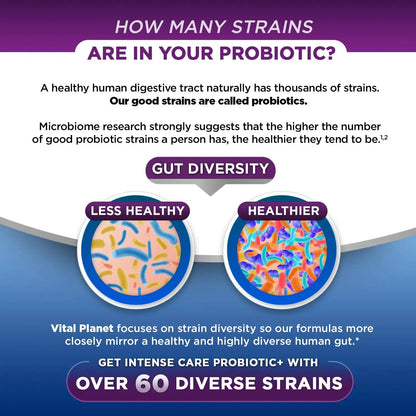 Vital Planet - Intense Care Brain & Mood Probiotics, Organic Prebiotics, Postbiotics, Parabiotics, Complete 4-in-1 Health Supplement for Adults, 65 Billion CFU, 67 Strains, Digestive and Immune 30 ct Vital PlanetBuy Supplements Australia