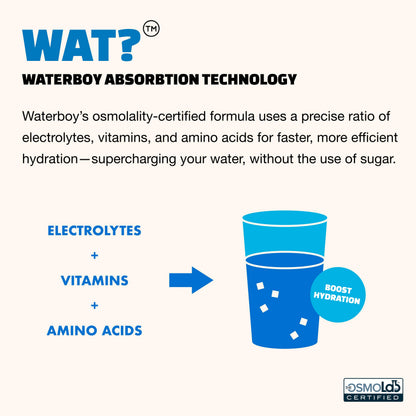 Waterboy Workout Hydration | 2,960mg Sugar Free Electrolyte Powder Packets | L-Glutamine + Vitamins | No Sugar, All Natural, Gluten Free (Variety)