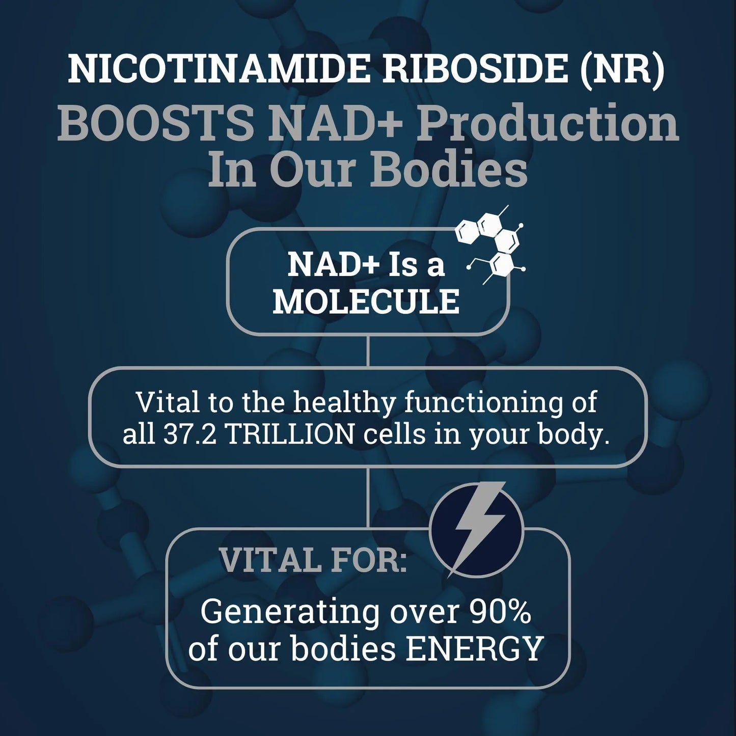Black Forest NAD Nicotinamide Riboside 900 mg (Liposomal Nicotinamide Riboside 900mg Resveratrol, Quercetin 500mg & 150mg of NAD Resveratrol Supplement) 1550 MGS NR Supplement 900mg NAD+ Black ForestBuy Supplements Australia