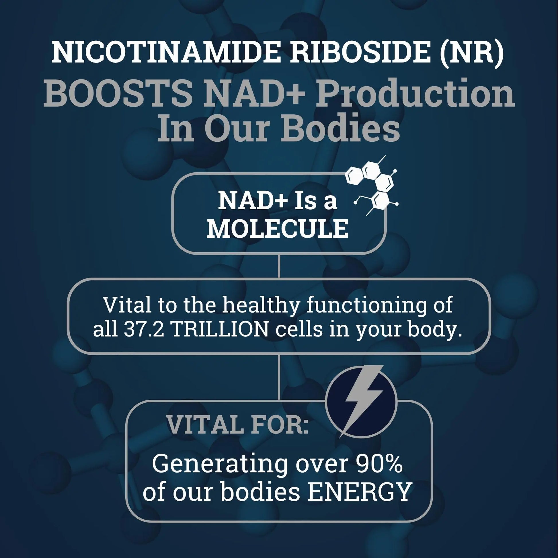 Black Forest NAD Nicotinamide Riboside 900 mg (Liposomal Nicotinamide Riboside 900mg Resveratrol, Quercetin 500mg & 150mg of NAD Resveratrol Supplement) 1550 MGS NR Supplement 900mg NAD+ Black ForestBuy Supplements Australia