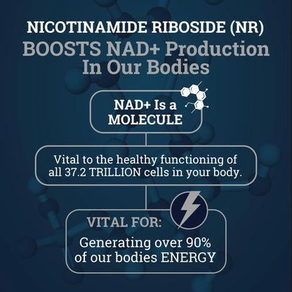 Black Forest NAD Nicotinamide Riboside 900 mg (Liposomal Nicotinamide Riboside 900mg Resveratrol, Quercetin 500mg & 150mg of NAD Resveratrol Supplement) 1550 MGS NR Supplement 900mg NAD+ Black ForestBuy Supplements Australia