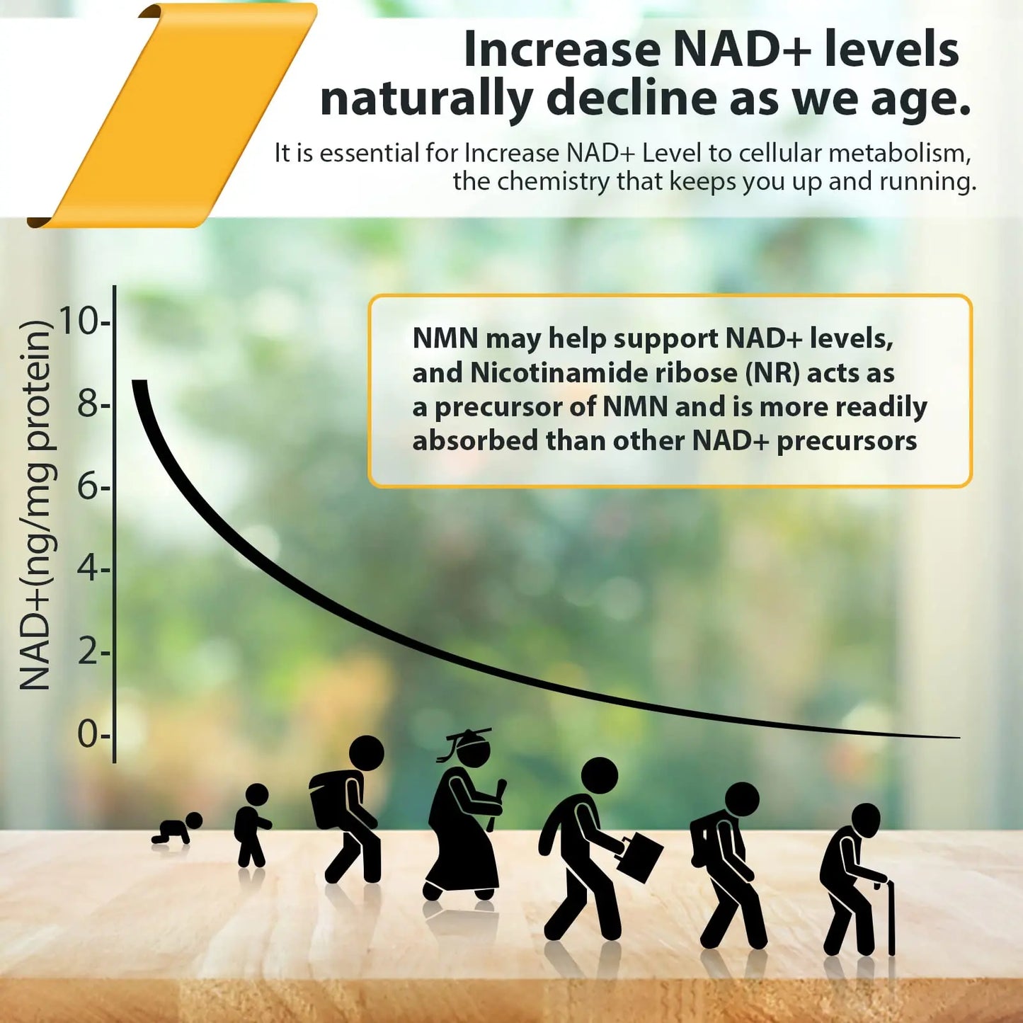 Liposomal Nicotinamide Riboside 2000 MG with TMG and Pterostilbene, Similar to NMN Supplements Boost NAD+, Support Healthy Aging, 240 Count OrgabayBuy Supplements Australia