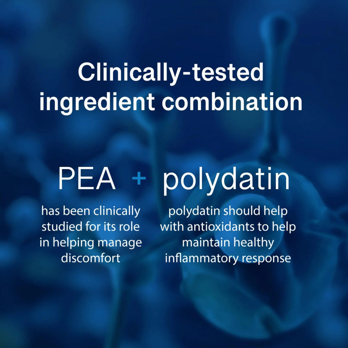 PEAlief Pea + Polydatin – New Bladder & Urinary Comfort Support with Clinically Tested Ingredient Combination — One Pill Per Day, 60 Day Supply PEAliefBuy Supplements Australia