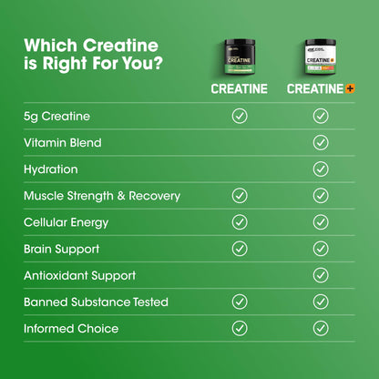 Optimum Nutrition Micronized Creatine Monohydrate Capsules, Keto Friendly, 2500mg, 100 Capsules Optimum NutritionBuy Supplements Australia