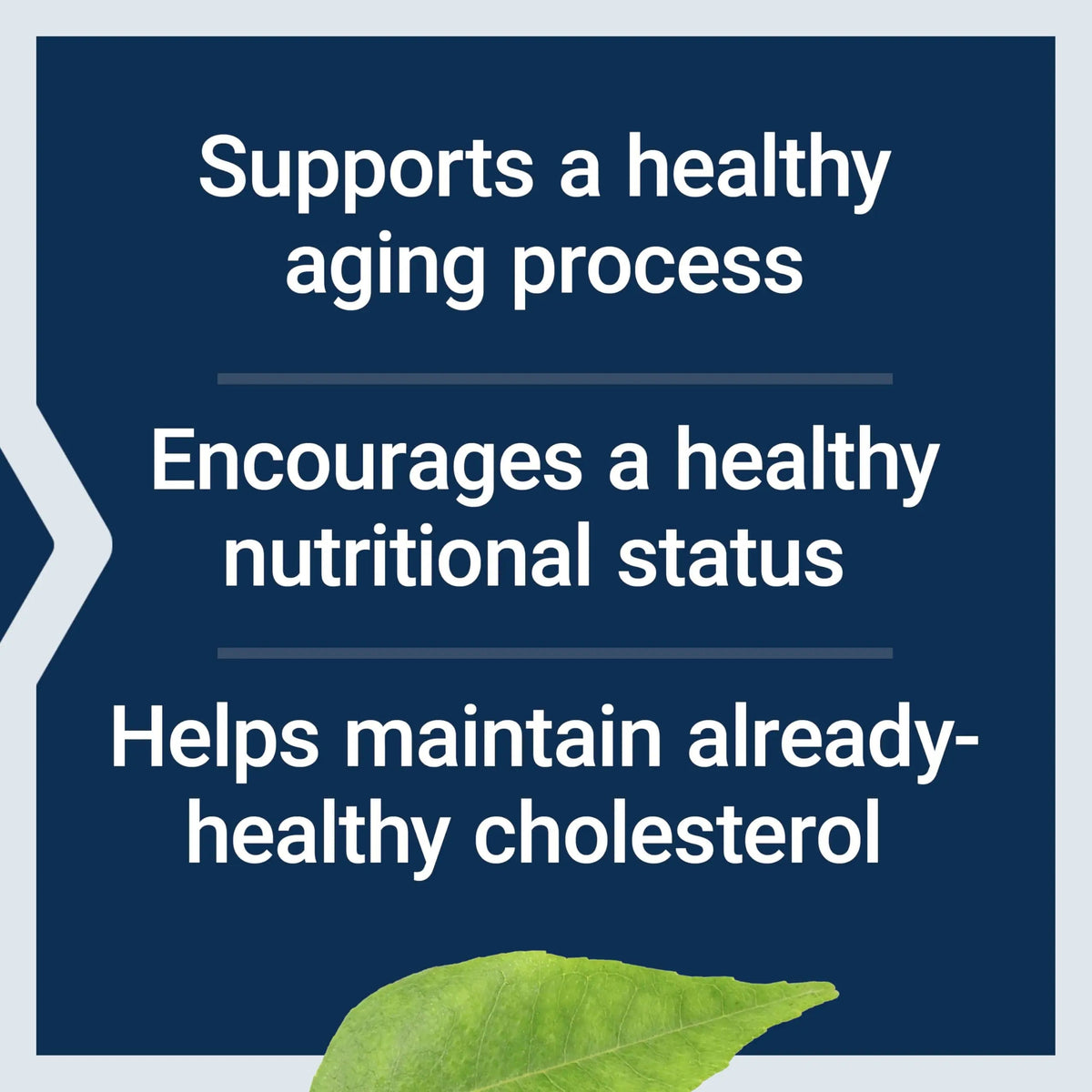 Life Extension FLORASSIST® Probiotic Youthful Gut, Healthy Aging Supplement, postbiotic and probiotic Blend, Heart and Gut Health, Non-GMO, 1-Daily, Gluten-Free, Vegetarian, 30 Capsules Life ExtensionBuy Supplements Australia