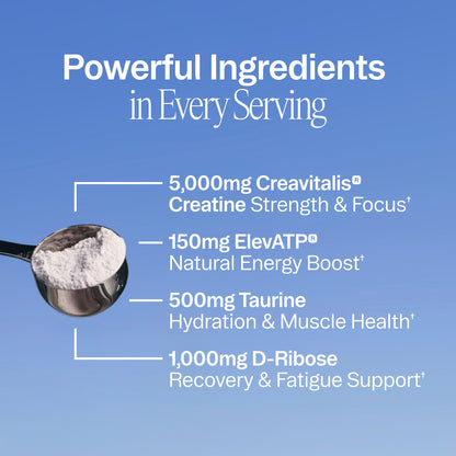 Ora Organic Creatine Monohydrate Powder - German-Sourced Creavitalis for Strength, elevATP for Energy, D-Ribose & Taurine for Recovery - Creatine for Women & Men - Acai Berry Flavor, 30 Servings Ora OrganicBuy Supplements Australia