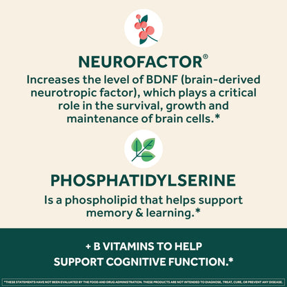 NEURIVA Plus Brain Supplement for Memory and Focus Clinically Tested Nootropics for Concentration for Mental Clarity, Cognitive Enhancement Vitamins B6, B12