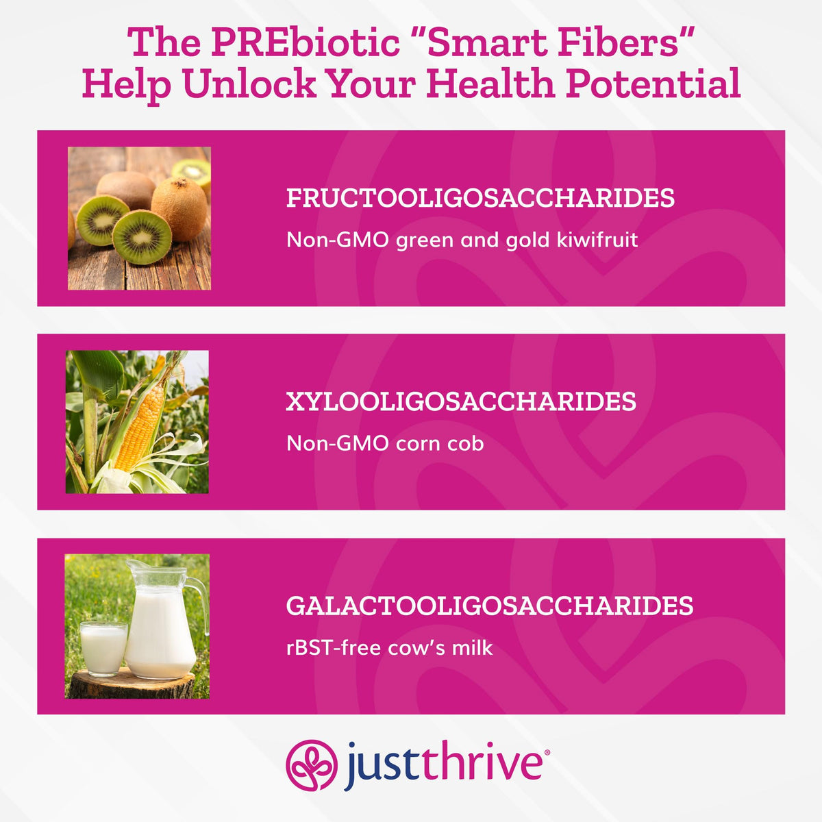 Just Thrive PREbiotic Powder - Digestive and Immune Support Supplement, 150 g Just ThriveBuy Supplements Australia