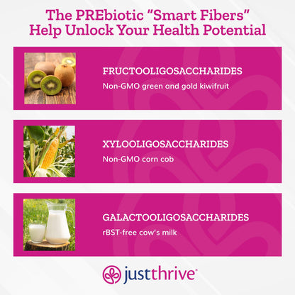 Just Thrive PREbiotic Powder - Digestive and Immune Support Supplement, 150 g Just ThriveBuy Supplements Australia