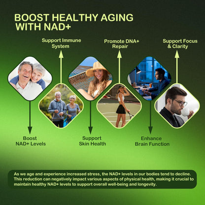 Lotnafee NAD+ Cellular Energy Supplement with Nicotinamide Riboside, Resveratrol, CoQ10, D-Ribose, Berry Flavor, 10 Vials LotnafeeBuy Supplements Australia
