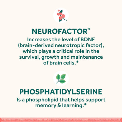 NEURIVA Original Brain Supplement for Memory, Focus & Concentration + Learning & Accuracy with Clinically Tested Nootropics Phosphatidylserine and Neurofactor, Strawberry Flavor, 50 Gummies NEURIVABuy Supplements Australia