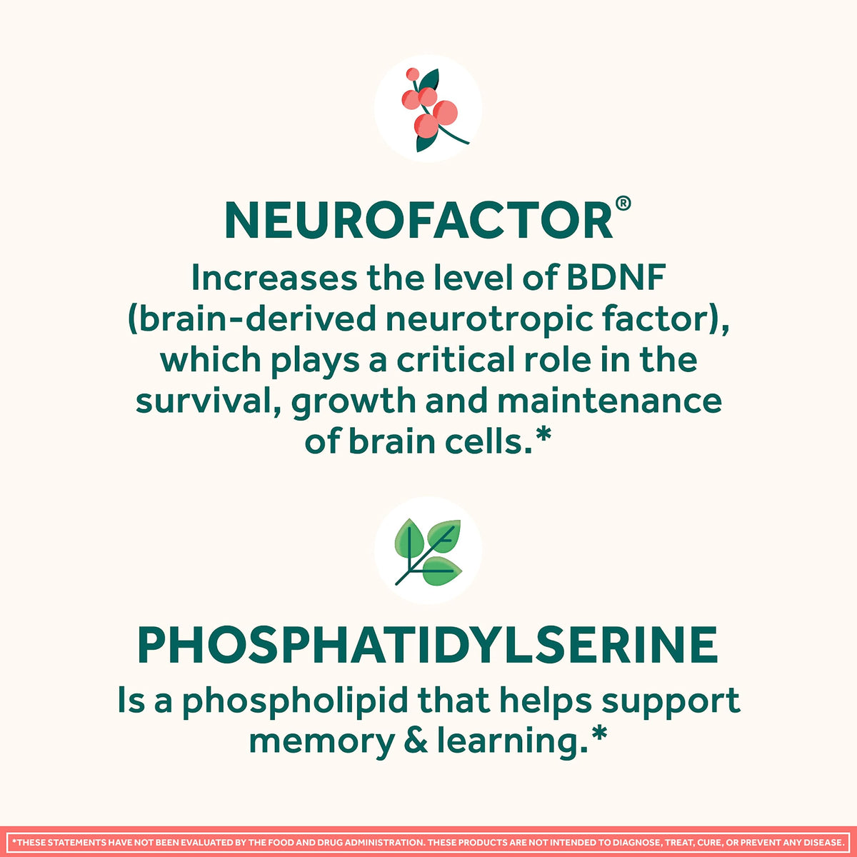 NEURIVA Original Decaffeinated Clinically Tested Nootropic Brain Supplement for Memory, Focus & Concentration, NeuroFactor & Phosphatidylserine, 28ct Capsules NEURIVABuy Supplements Australia